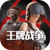 王牌战争辅助